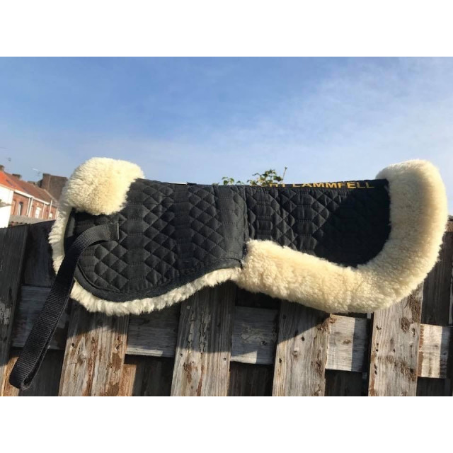 Amortisseur mouton véritable