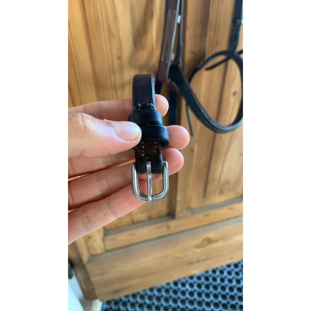 Filet et rênes CWD poney