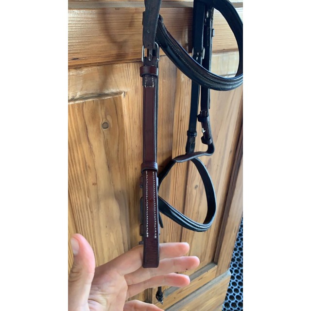 Filet et rênes CWD poney