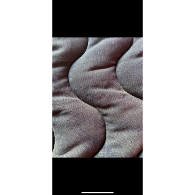 Tapis