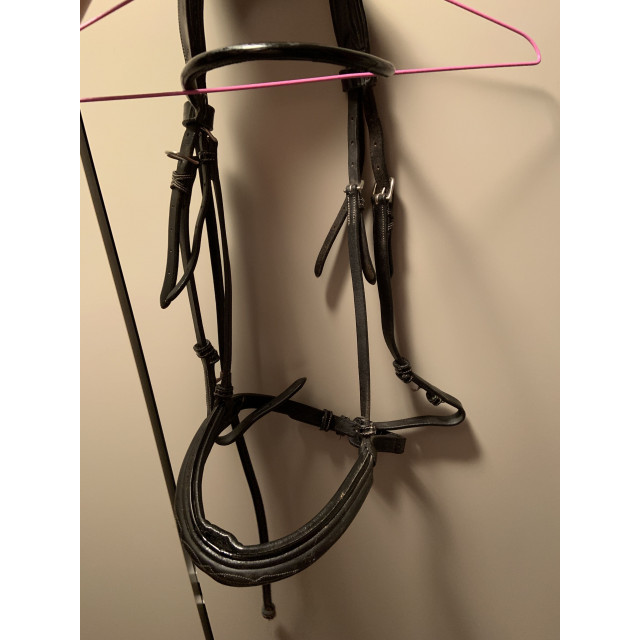 Bridon Week Monday Jump’in