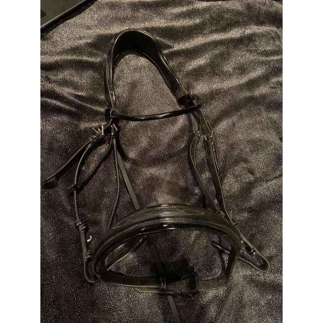 Bridon Week Monday Jump’in