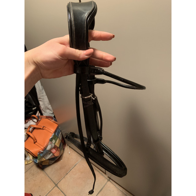 Bridon Week Monday Jump’in