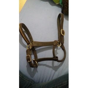 Licol cuir marron Protanner