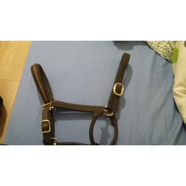 Licol cuir marron Protanner