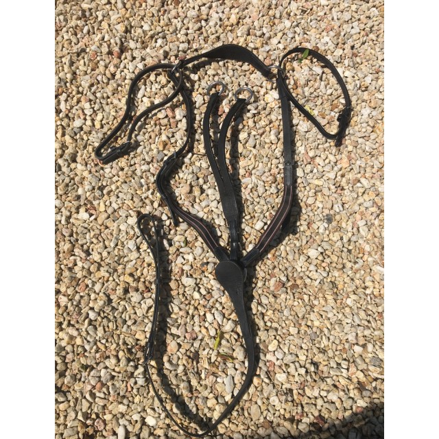 Martingale + collier de chasse