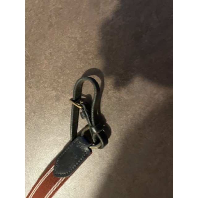 Collier de chasse chetak
