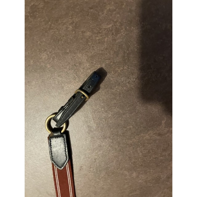 Collier de chasse chetak