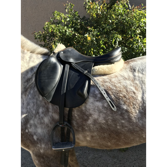 Selle équipe modèle expression