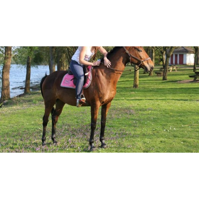 Tapis Scapa Sport rose