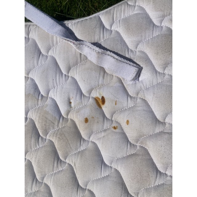 Tapis de selle Dressage