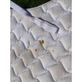 Tapis de selle Dressage