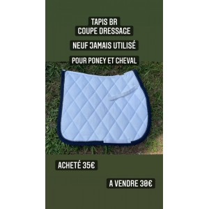 Tapis de dressage BR