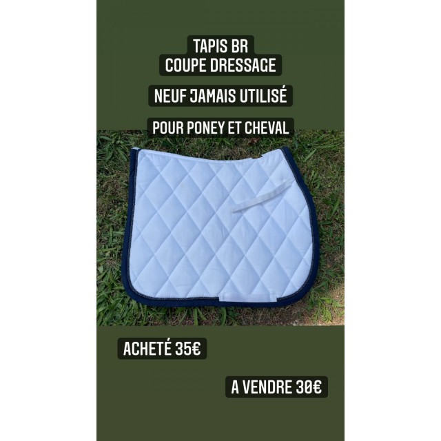 Tapis de dressage BR