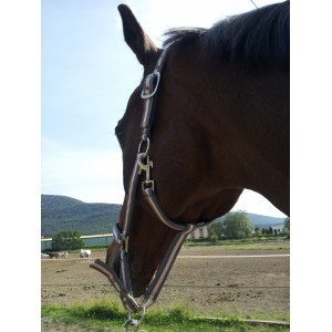 Licol Gris et rose bicolore et sa longe