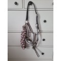 Licol Gris et rose bicolore et sa longe