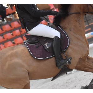Selle Rebelle Sellier équipée