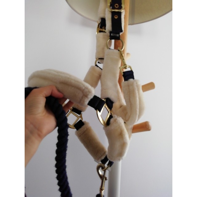 Licol mouton + longe