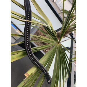 Frontal Norton Club Diamond