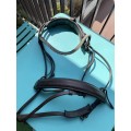 Bridon Pull Back + Muserolle