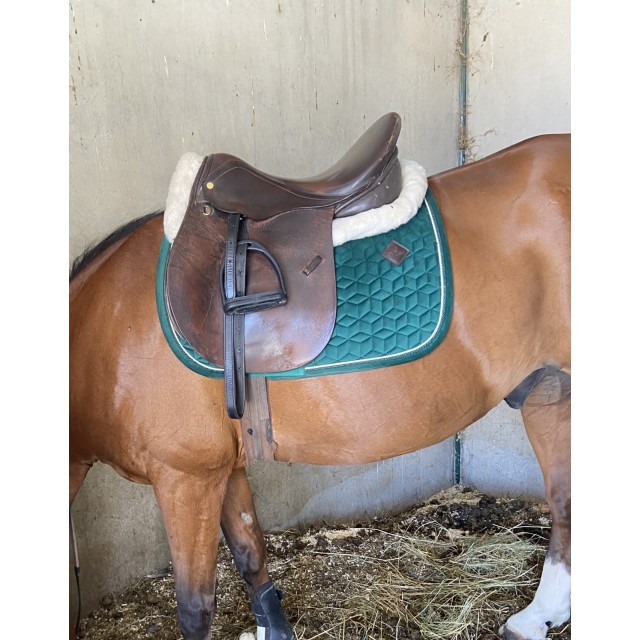 Amortisseur Moumoute Equithème très bon état