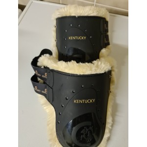 Protege boulet Kentucky cheval