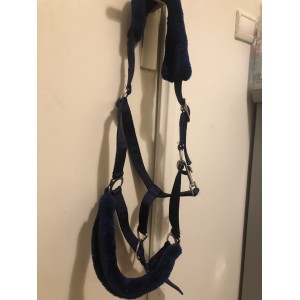 licol + longe norton