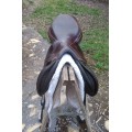 Selle Équipe Expression