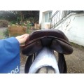 Selle Équipe Expression