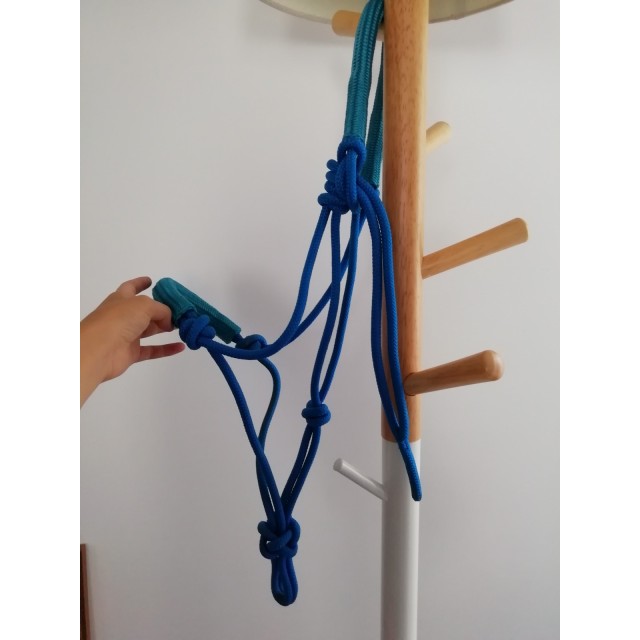 Licol ethologique bleu