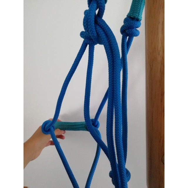 Licol ethologique bleu