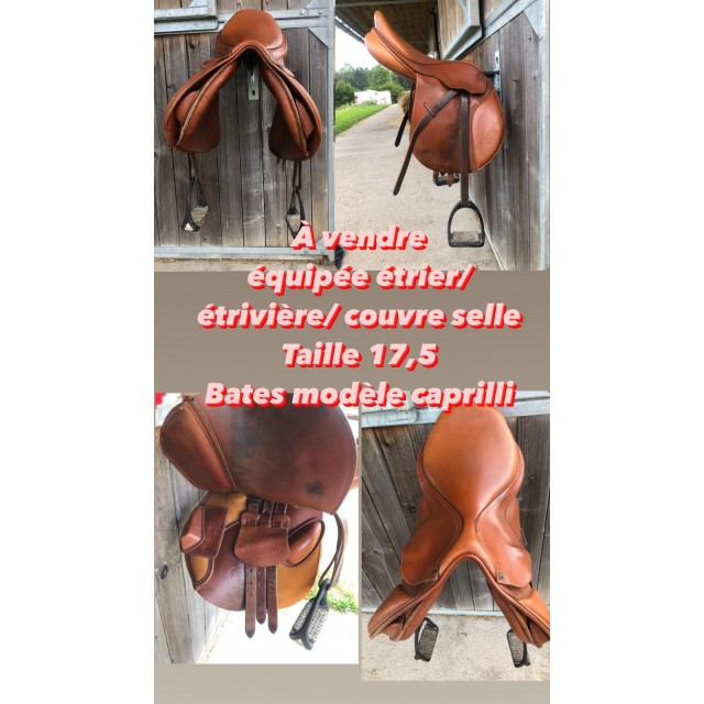Selle bâtes caprilli