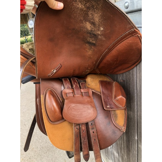 Selle bâtes caprilli