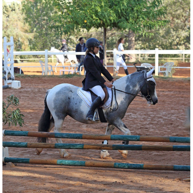 Tapis Paddock Sport blanc/vernis doré