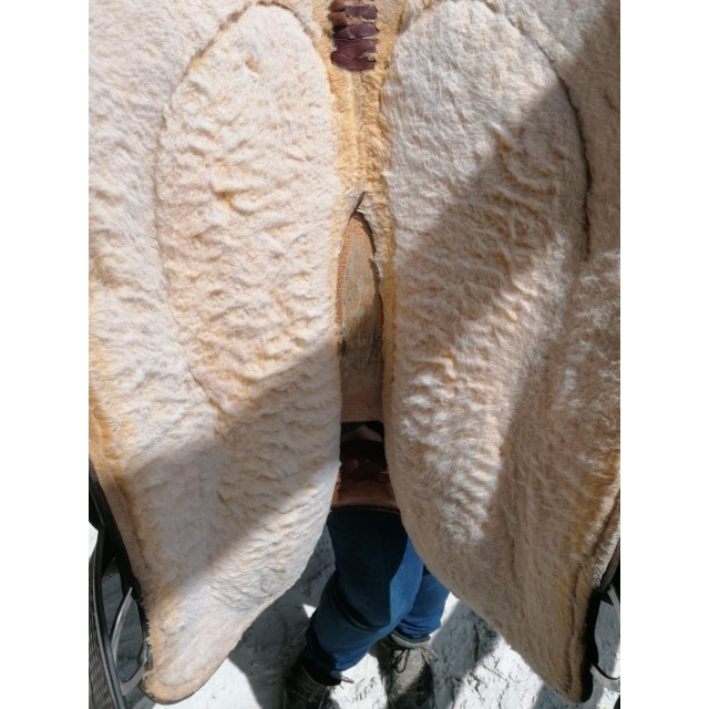 Selle Western Sasser USA