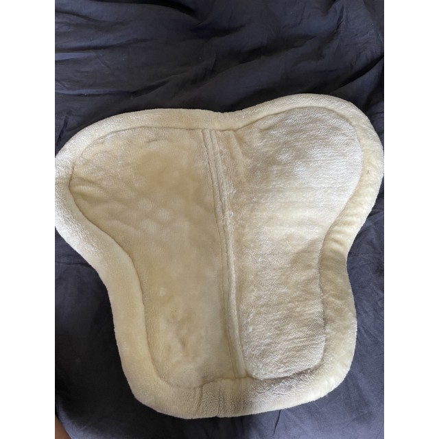 Amortisseur équitheme