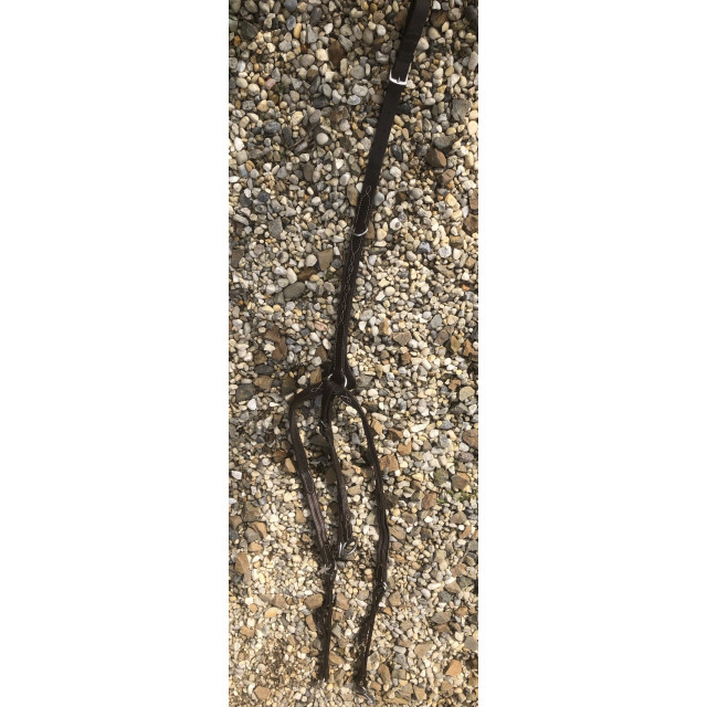 Collier de chasse + martingale