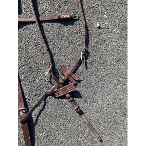 Enrenement Howlet et martingale