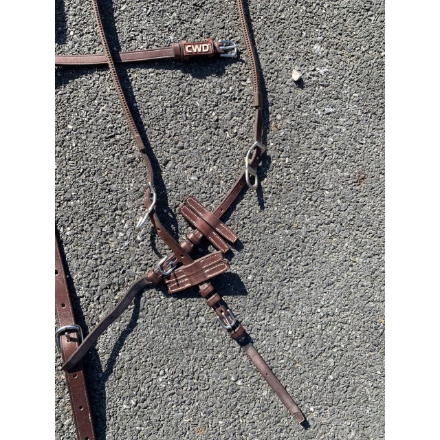 Enrenement Howlet et martingale