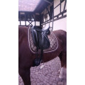 Selle de dressage Devoucoux Makila