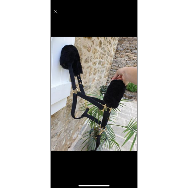 Licol moumoute noire + longe