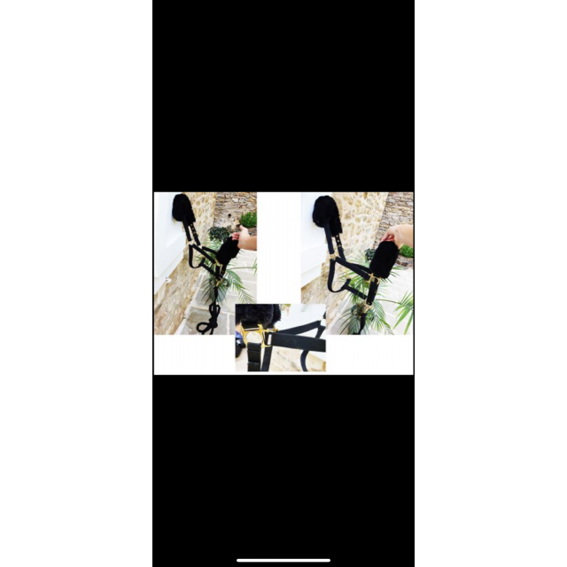 Licol moumoute noire + longe