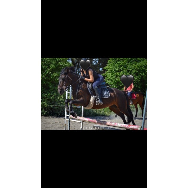 Tapis cheval liberté noir