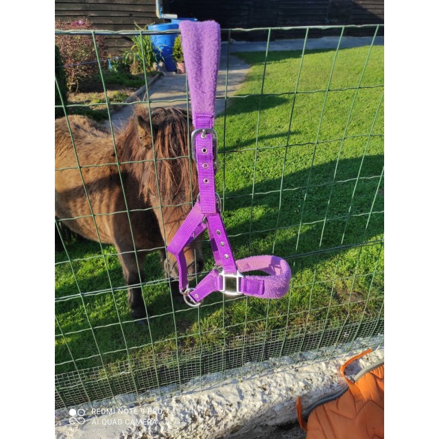 Licol mauve Taille poney