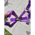 Licol mauve Taille poney