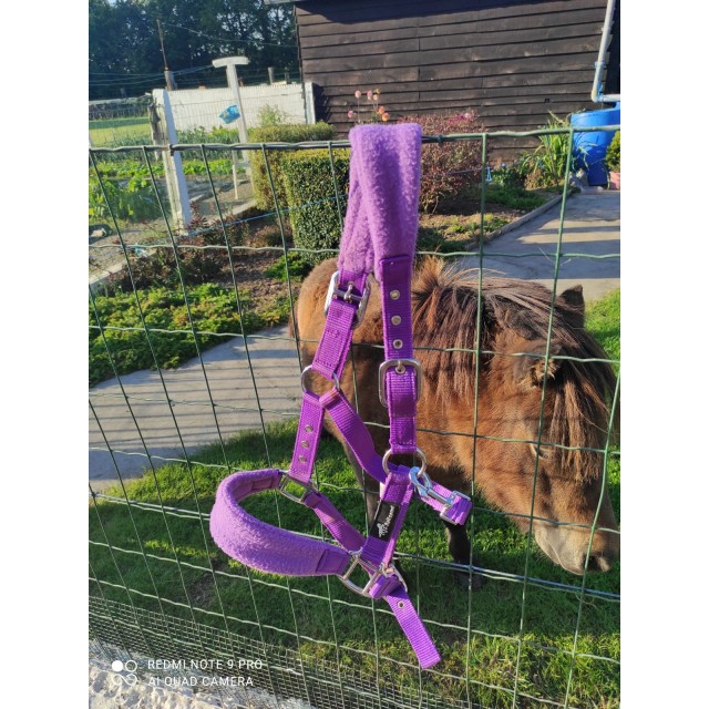 Licol mauve Taille poney