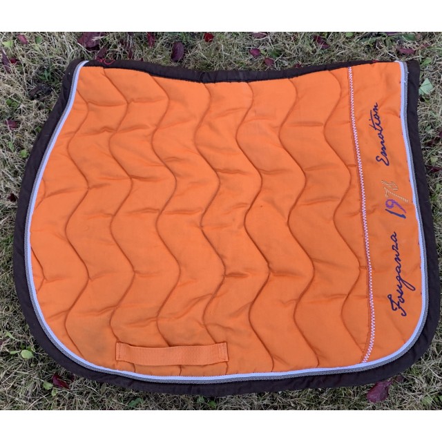 Ensemble tapis + licol orange