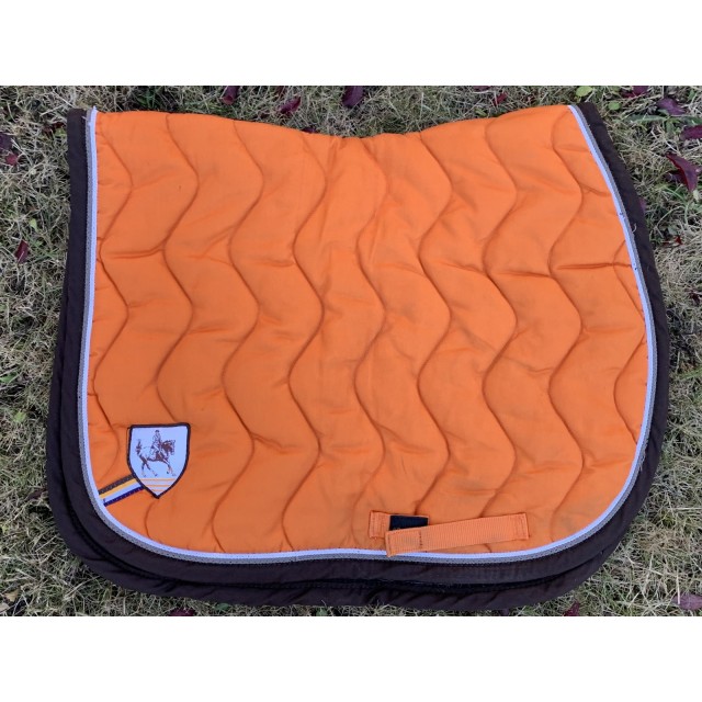 Ensemble tapis + licol orange