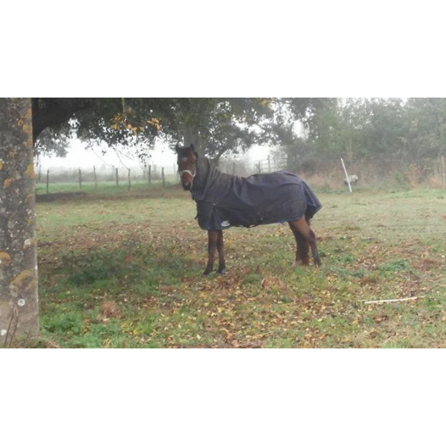 couverture HKM intégrale