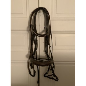 Filet avec une paire de rene taille poney, petit cheval